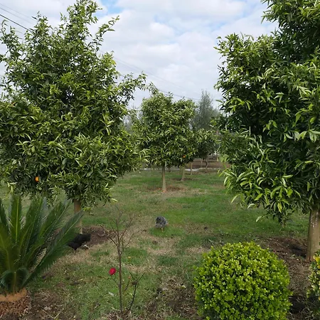 Golden View Rrushkull (Durres)