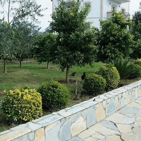 Appartement Golden View Rrushkull (Durres)
