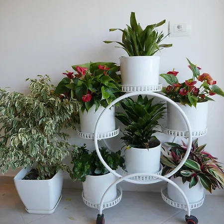 Appartamento Golden View Rrushkull (Durres)