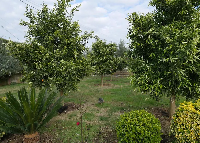 Golden View Rrushkull (Durres)